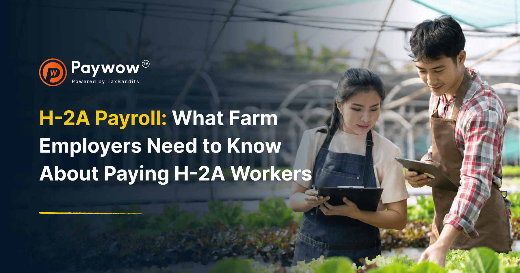 H-2A Payroll: What Farm Employers Need to Know About Paying H-2A Workers
